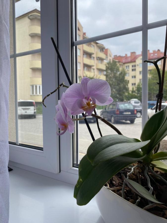 Apartment жк маєток володимирська 90